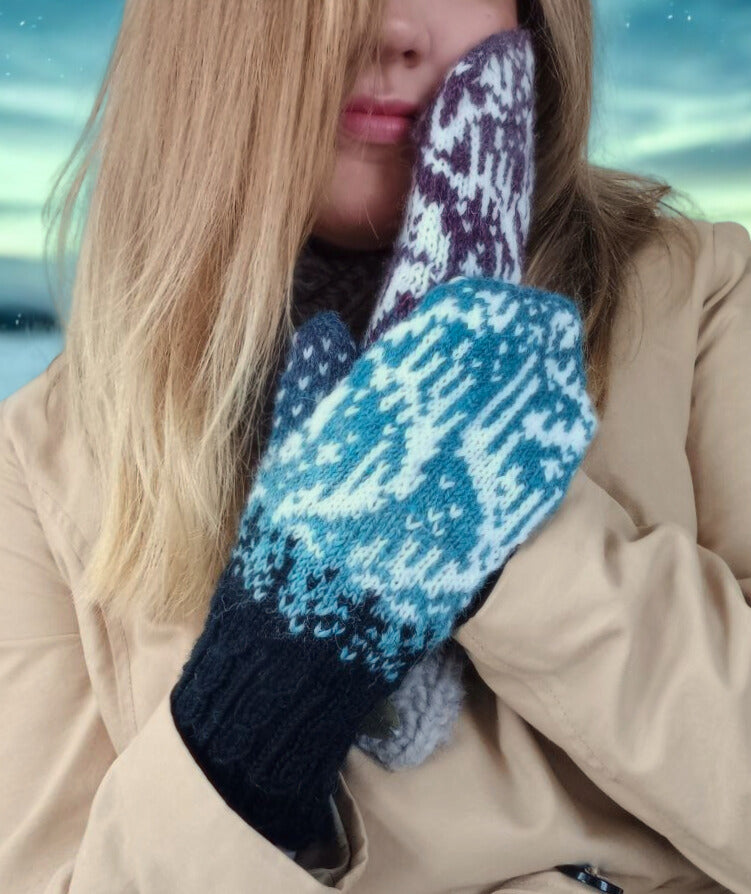 Auroora-neuleohjepaketti