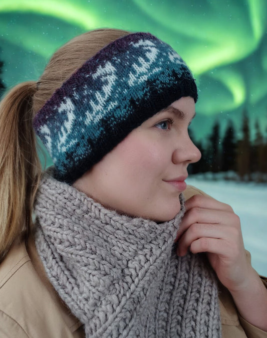 Auroora-neuleohjepaketti