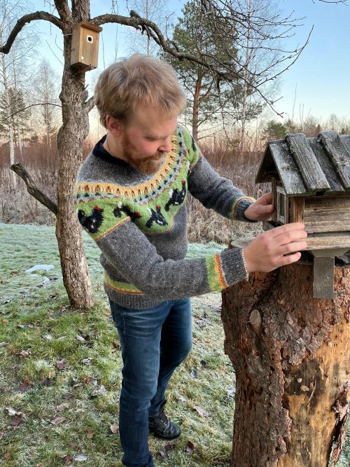 Teeri-kaarrokeneule, neuleohje