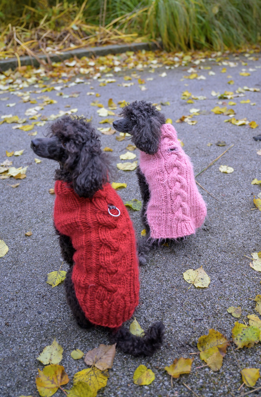 Bruno-koiranneule, neuleohje