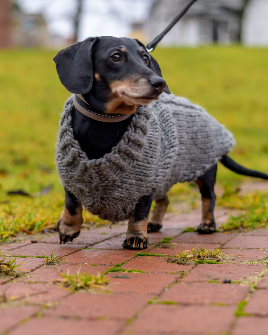 Bruno-neule mäyräkoiralle, neuleohje