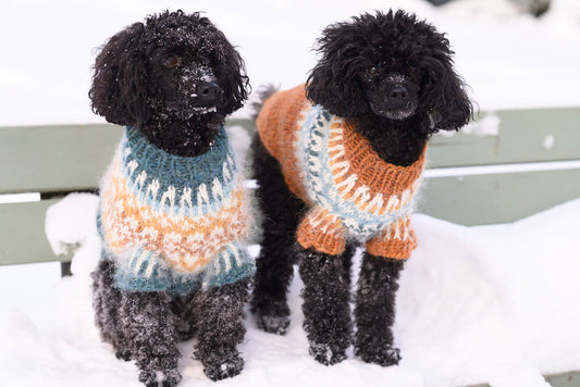 Fiona-koiranneule, neuleohje