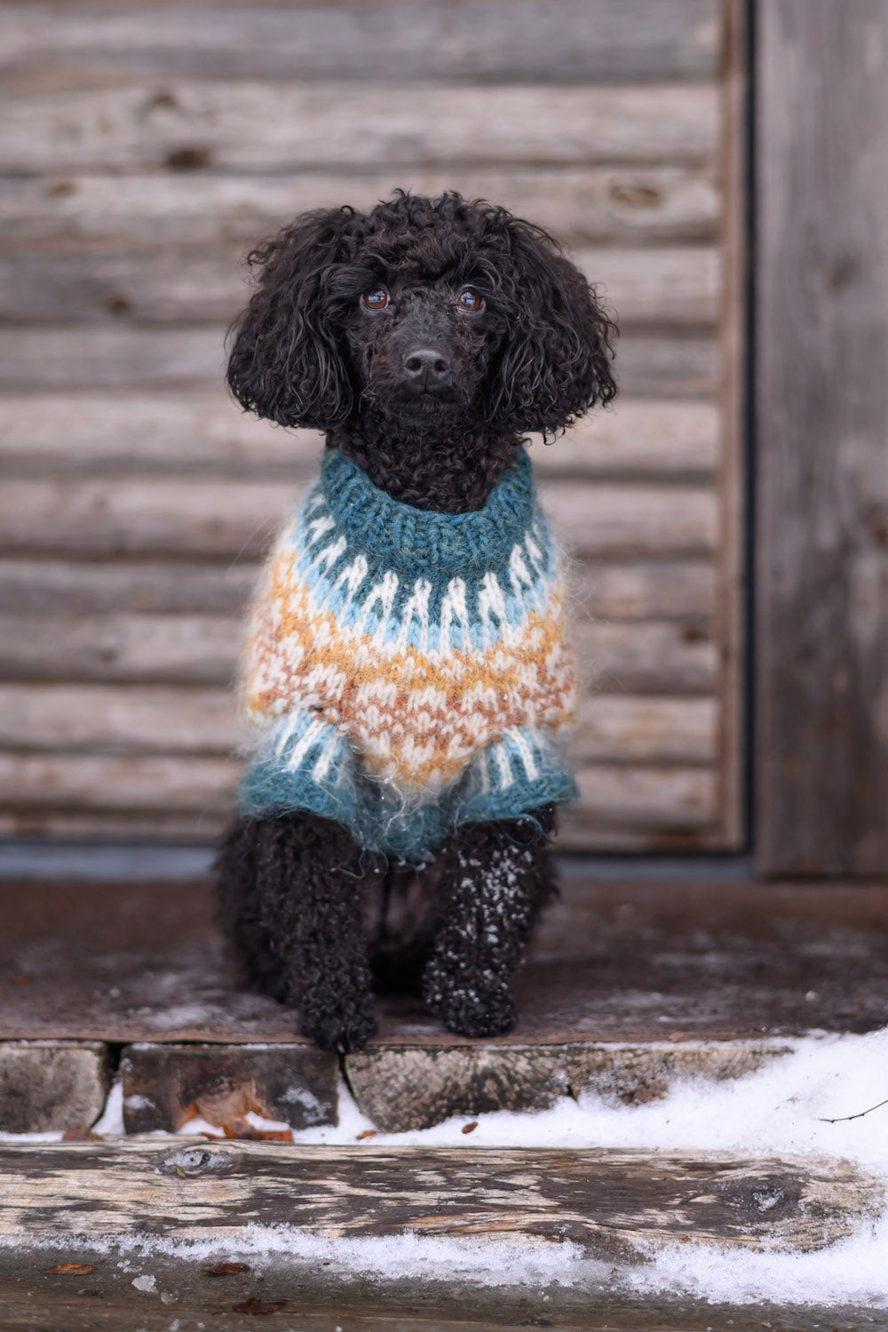 Fiona-koiranneule, neuleohje