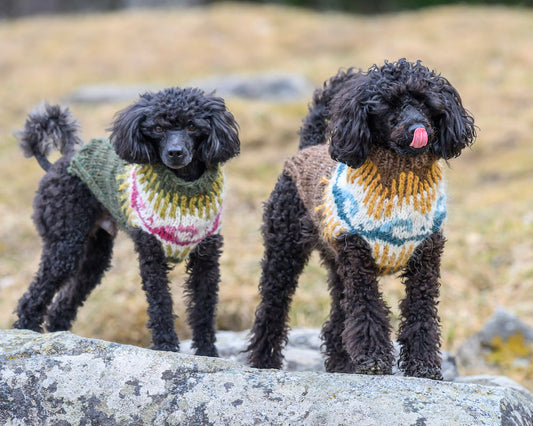 Kaino-koiranneule, neuleohje