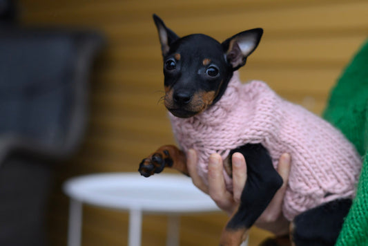 Kerttu-pentuneule, neuleohje