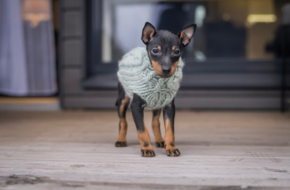 Kerttu-pentuneule, neuleohje