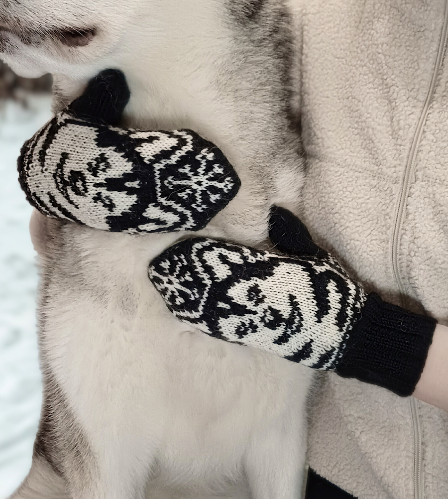 Alaskanmalamuutti-lapaset, neuleohje