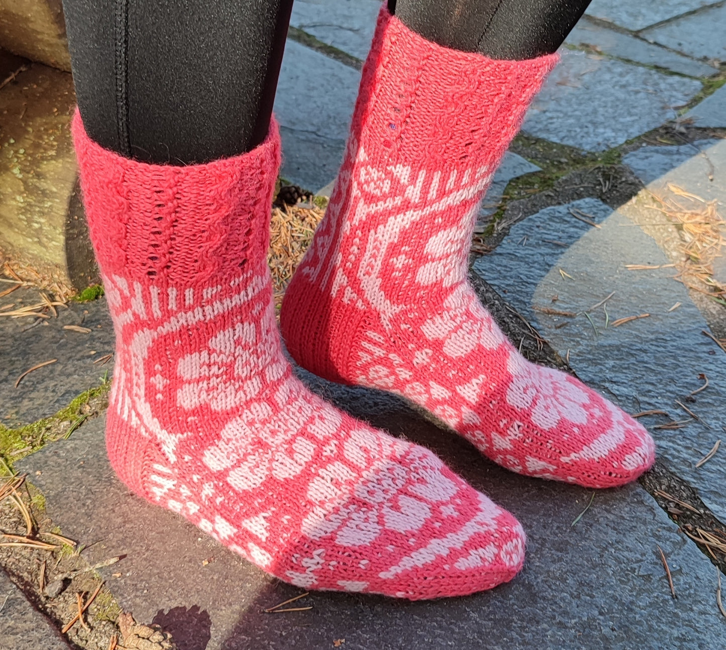 Kakkarakukka-kirjoneulesukat, neuleohje