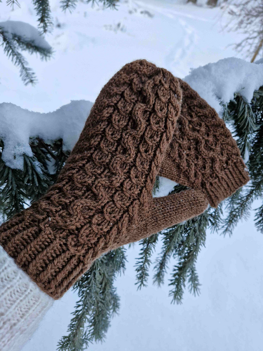 Queria-neuleohjesetti