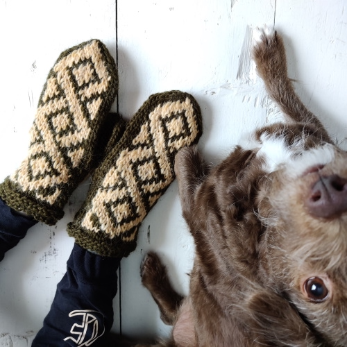 Baldur-lapaset, neuleohje