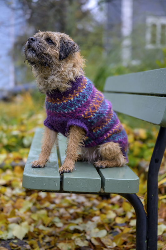 Beeda-koiranneule, neuleohje