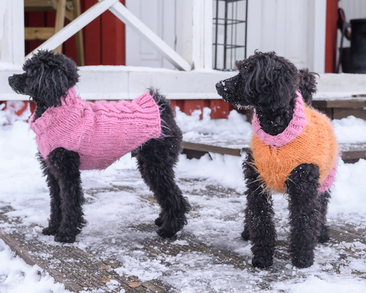 Bruno-koiranneule, neuleohje