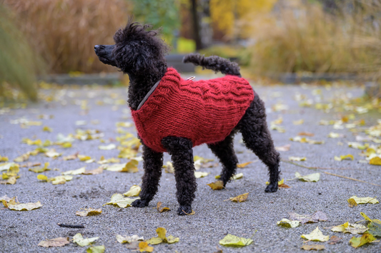 Bruno-koiranneule, neuleohje