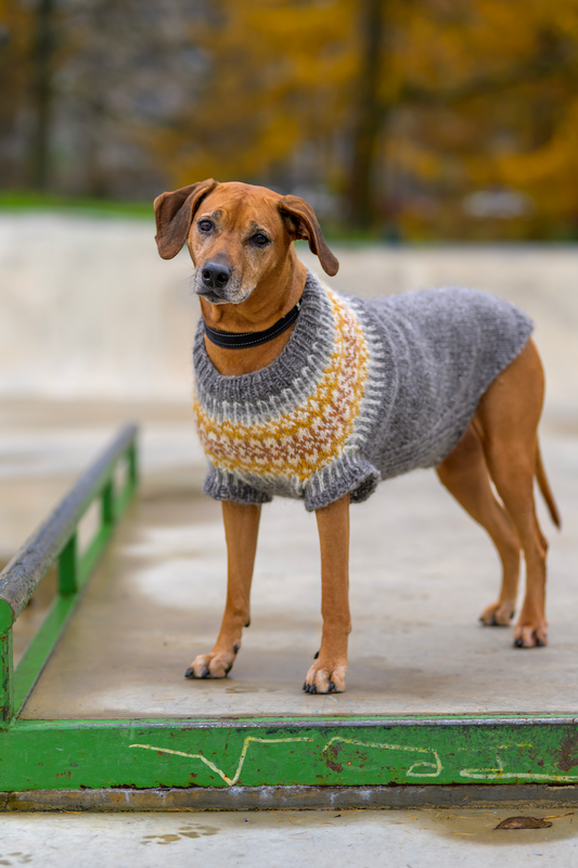 Fiona-koiranneule isoille koirille, neuleohje