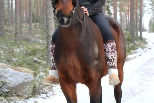 Paratiisihevoset-sukat, neuleohje